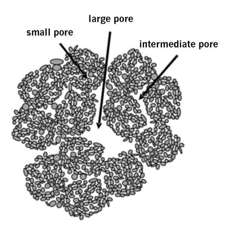 A soil aggregate or “crumb”