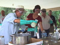 ethanol production from fruit ethanol production from fruit